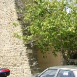 Saint-Pierre5